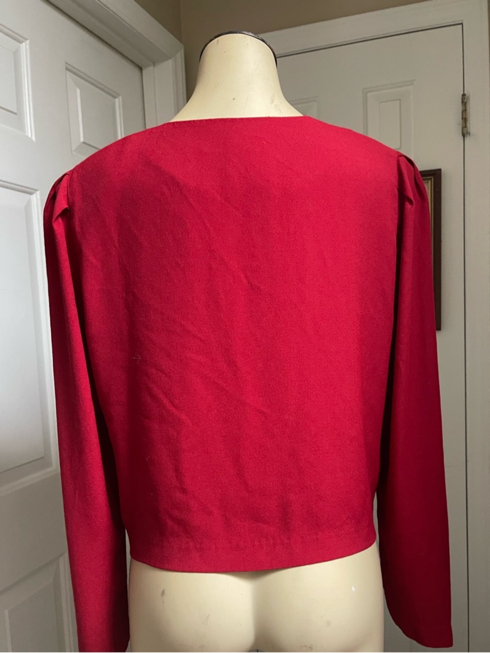 Red Embroidered Button-Front Blouse - Picture 4 of 8